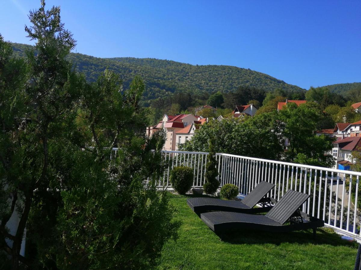 B&B Nataly 2 Soko Banja Bagian luar foto
