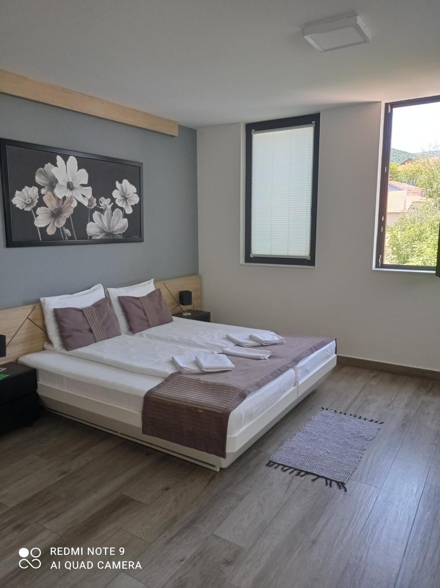 B&B Nataly 2 Soko Banja Bagian luar foto